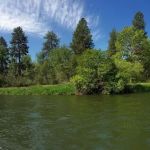 Lmuma Creek Recreation Site