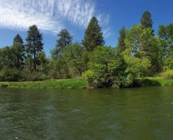 Lmuma Creek Recreation Site