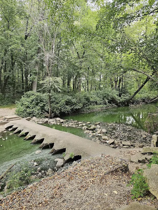 Beeds Lake Campground 9