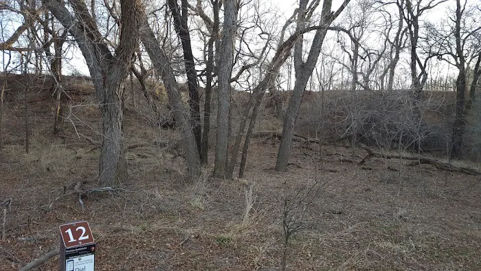 Black Kettle's Camp 5