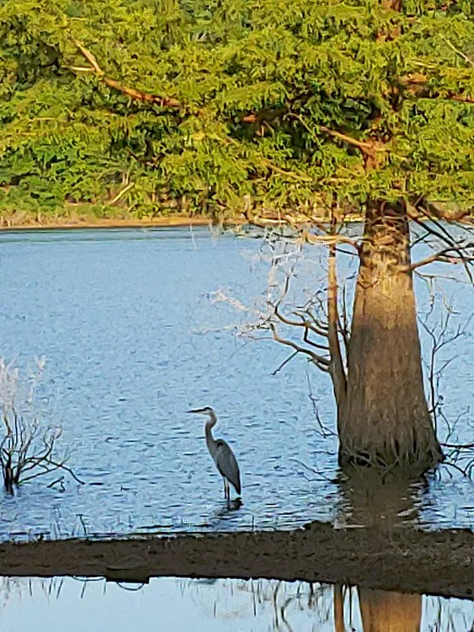 Snake Creek Campground 9