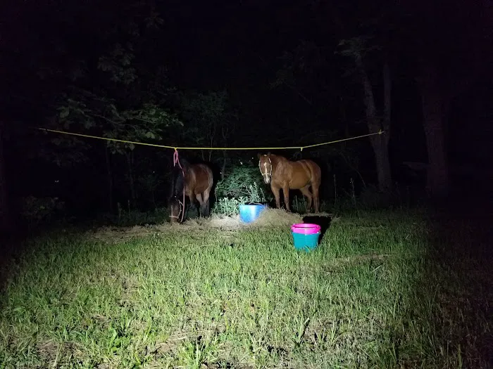 Green Country Cowboy Camp Meeting 5
