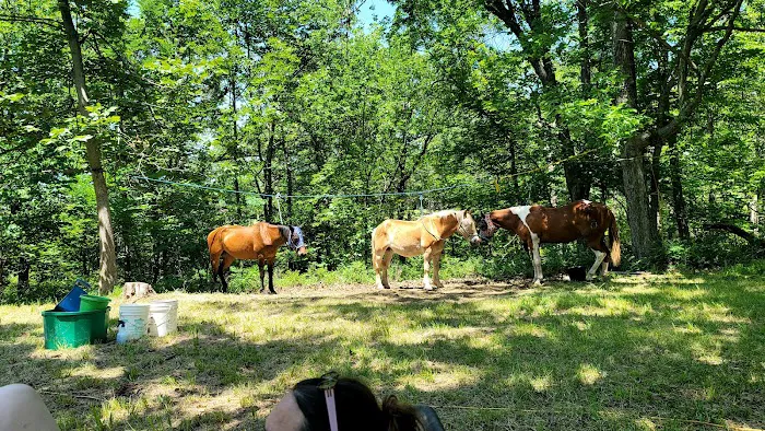 Green Country Cowboy Camp Meeting 8