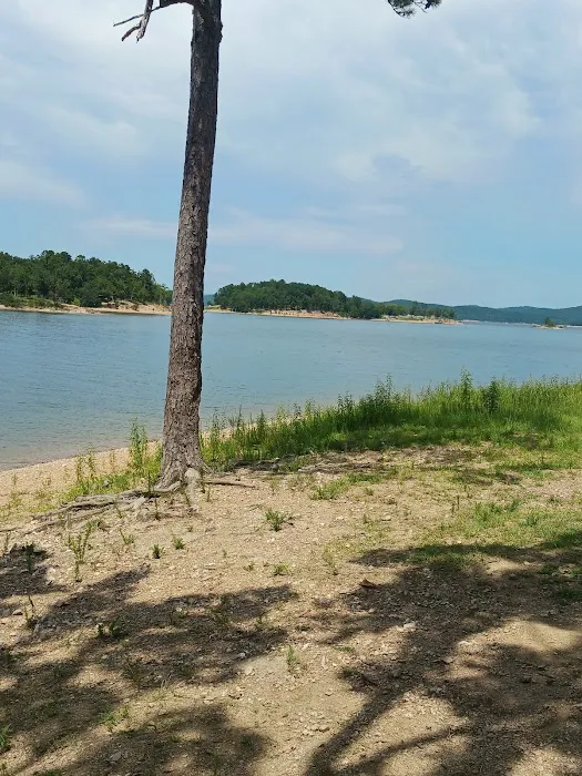 Reasnor Point 5