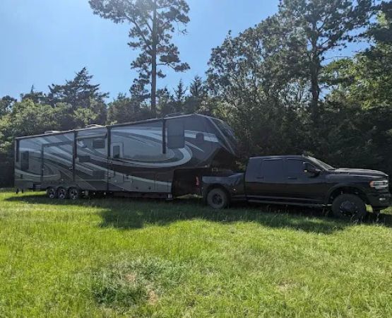 Piney Paradise