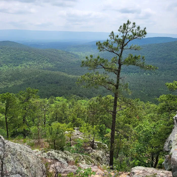 Billy Creek Recreation Area 2