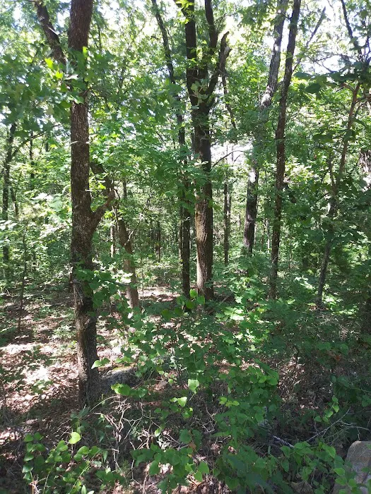 Winding Stair Campground 9