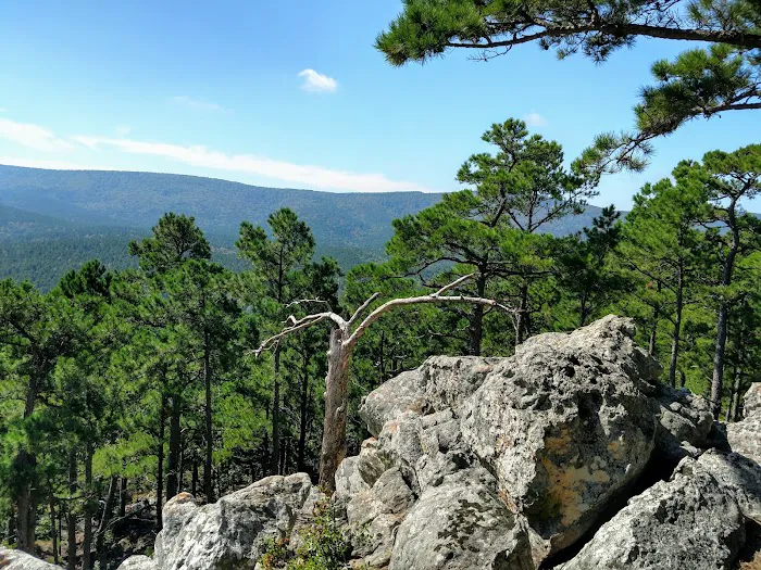 Cedar Lake Equestrian Campground 8