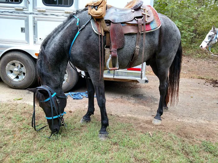 Cedar Lake Equestrian Campground 9