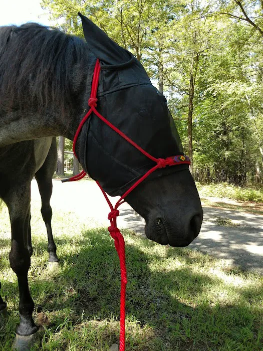 Cedar Lake Equestrian Campground 6