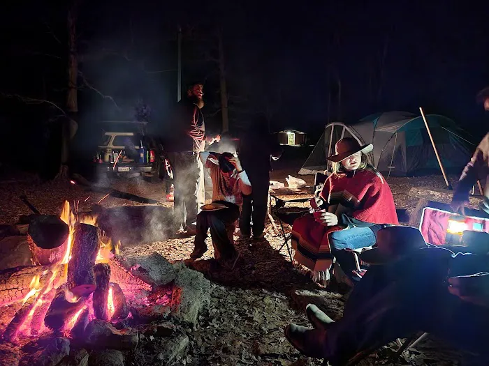 Fox Campsite 0