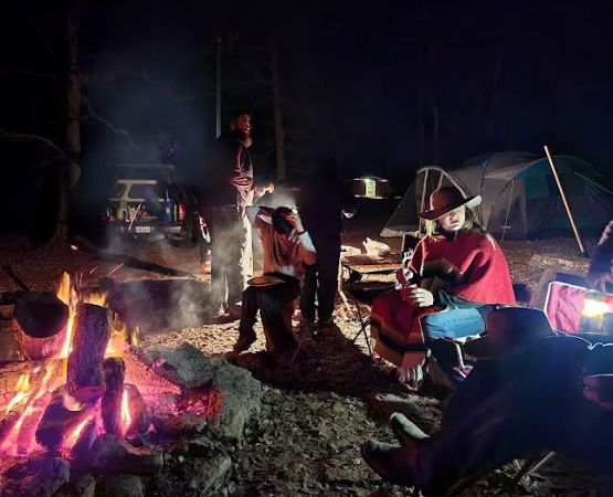 Fox Campsite