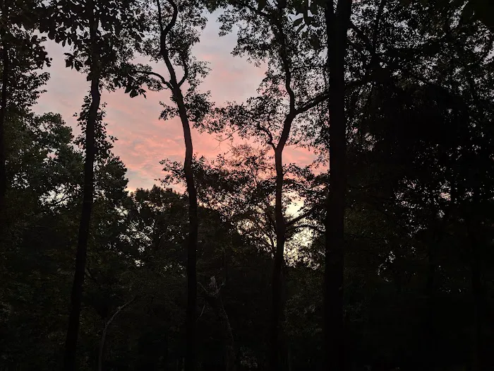 Dogwood Campground 5