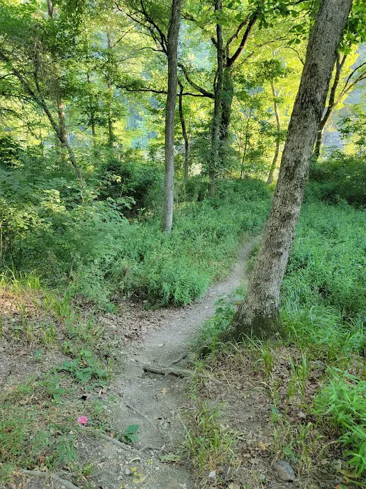 Dogwood Campground 2