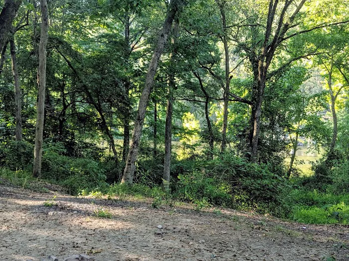 Dogwood Campground 9