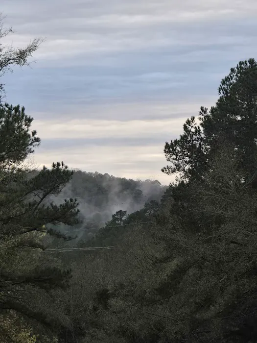Fern Campground 1