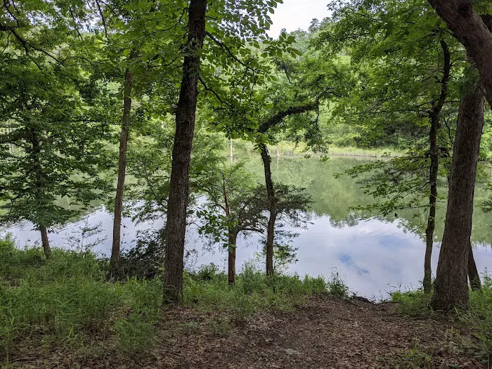 Fern Campground 2