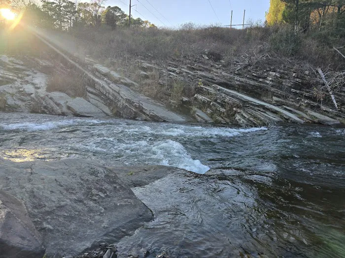 Fern Campground 3