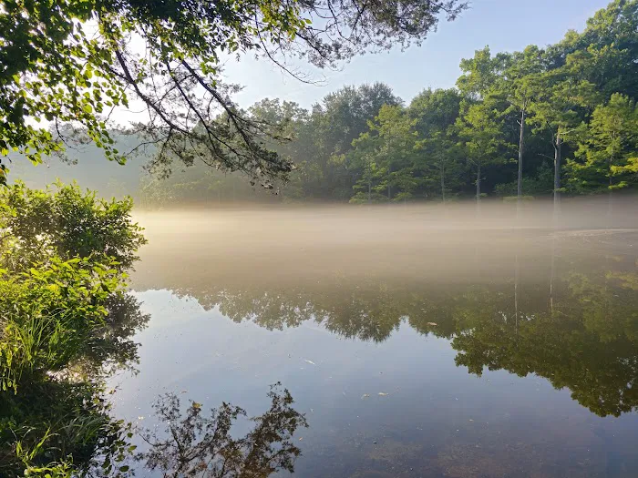 Fern Campground 0
