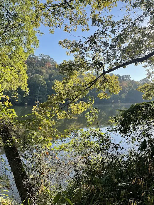 Cypress Campground 8