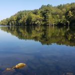 Acorn Campground at Beaver's Bend State Park