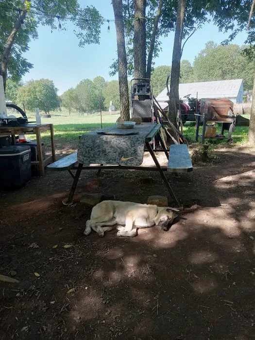 Shady Rest On Flint Creek 6