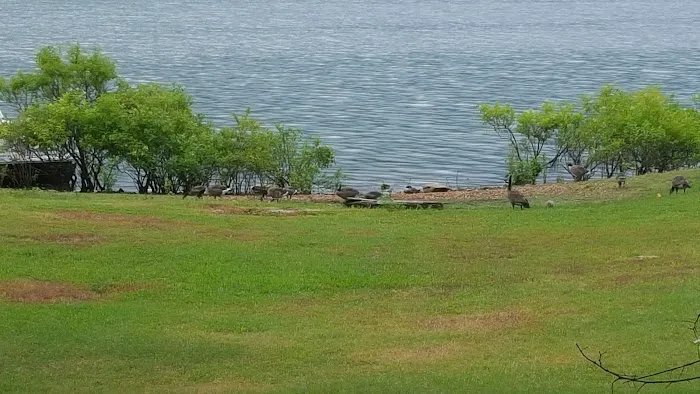 Pettit Bay 2