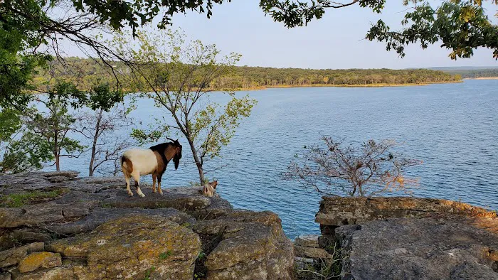 The real Goat Island 0