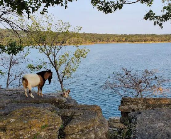 The real Goat Island