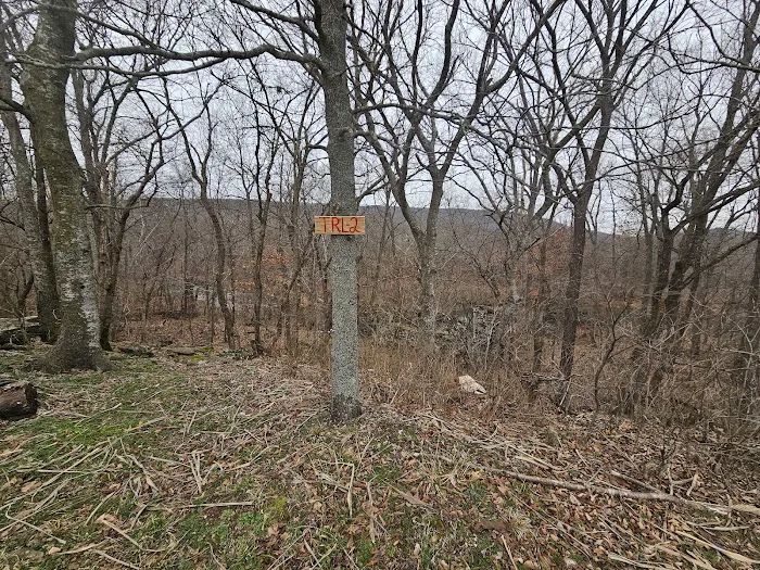 Hogeye Camp Ground 6