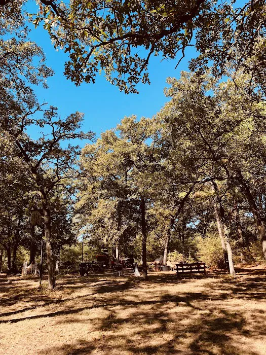 Tanglewood Hoya park 7