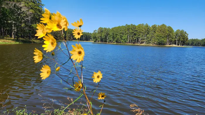 Marathon Campground 4