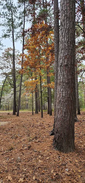 Marathon Campground 5