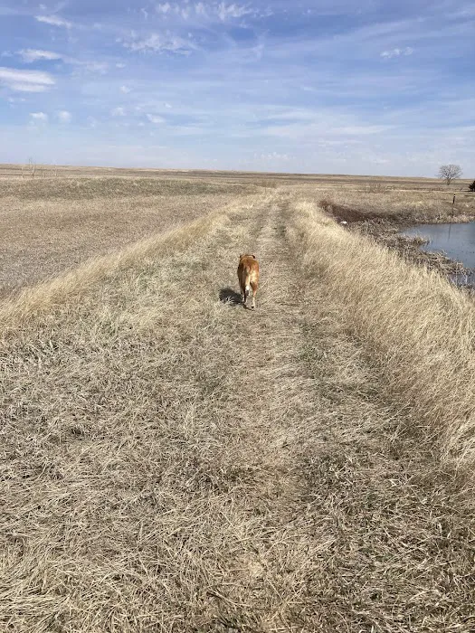 Richland Dam Recreation Area Fort Pierre National Grassland 2