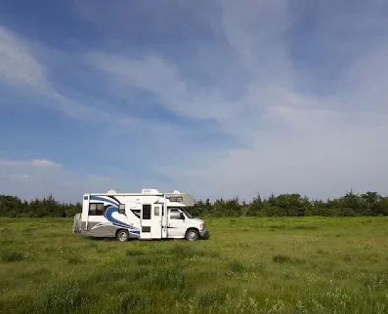 Pierre National Grassland