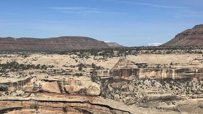 Natural Bridges National Monument Campground 5