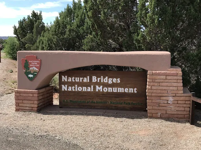 Natural Bridges National Monument Campground 4