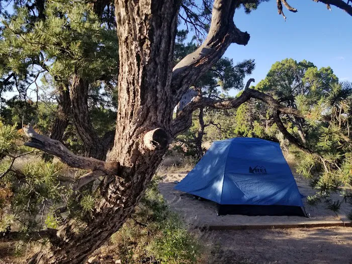 Natural Bridges National Monument Campground 7