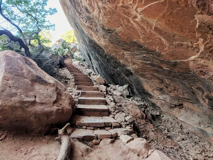 Natural Bridges National Monument Campground 8