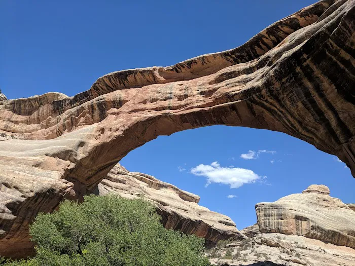 Natural Bridges National Monument Campground 6