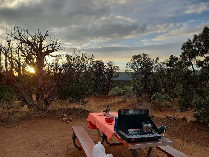Natural Bridges National Monument Campground 3