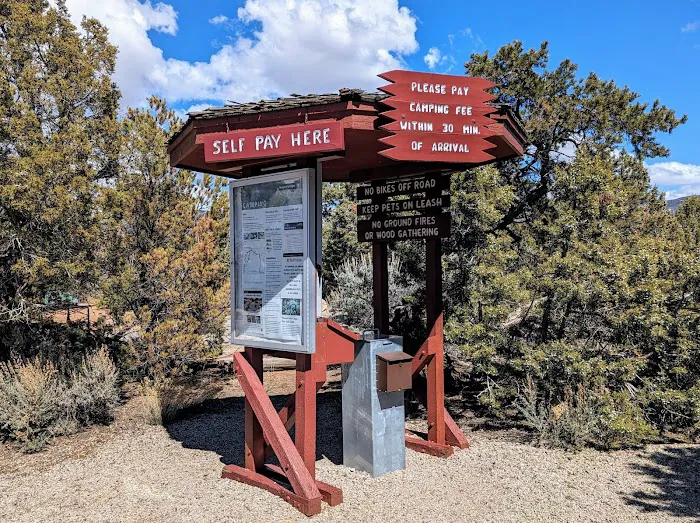 Natural Bridges National Monument Campground 9