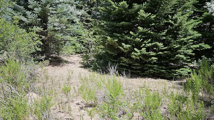 Dancing Pines South Side 9