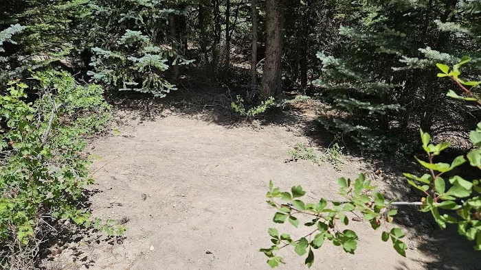 Dancing Pines South Side 8