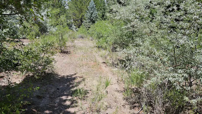 Dancing Pines South Side 3