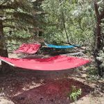 Dancing Pines South Side