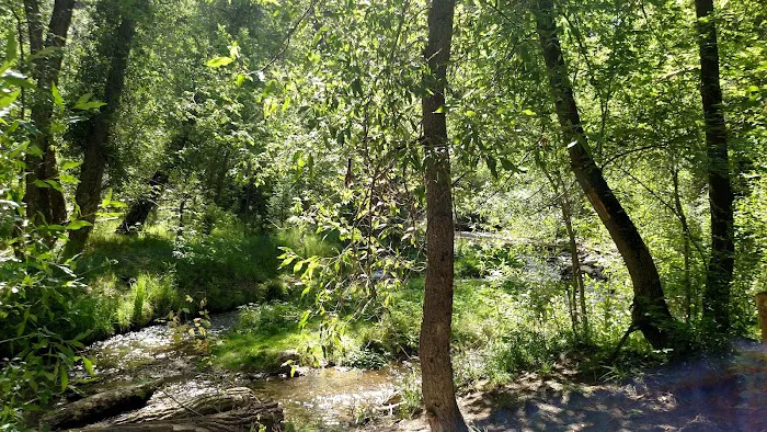 Tinney Flat Campground 2