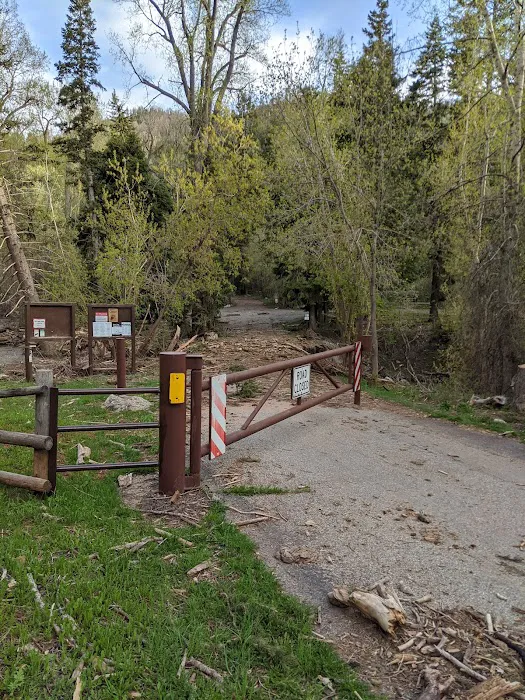 Tinney Flat Campground 5