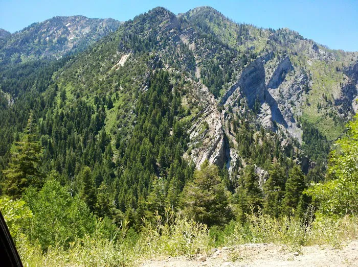 Tinney Flat Campground 4