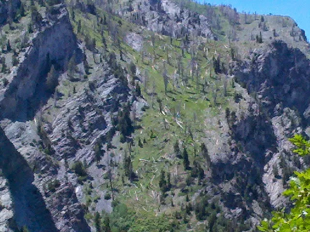 Tinney Flat Campground 0